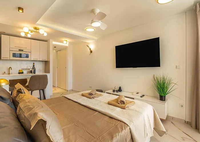 Apartment Splendid 314