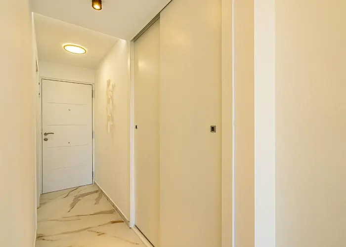 Splendid 314 أذيخي